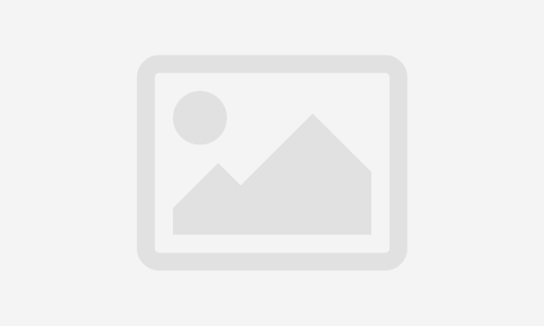 Dynamic website development to make money from online